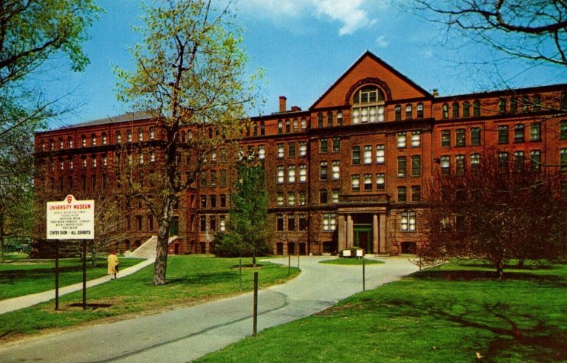 Harvard campus in the 1960s